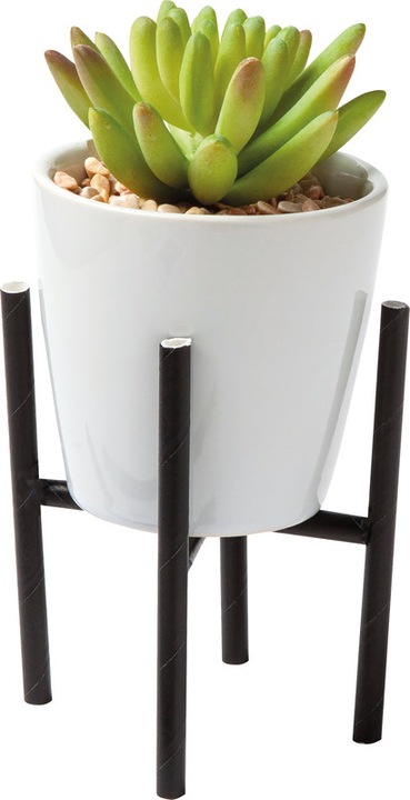 Produktbild Folia Strohhalme (25 x)