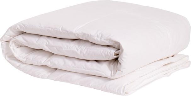 Domoletti Blanket Masterjero Natural Feather WARM, 200x220 cm, white (220 x 200 cm)