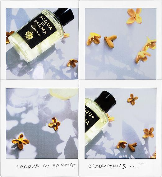Image du produit Acqua Di Parma Osmanthus Eau de Parfum (Eau de parfum, 100 ml)