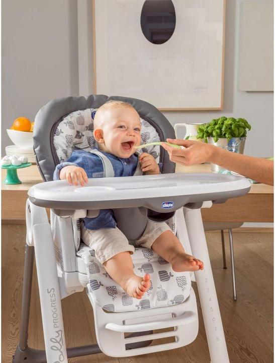 Image du produit Chicco Polly Progres5 (Chaise haute)