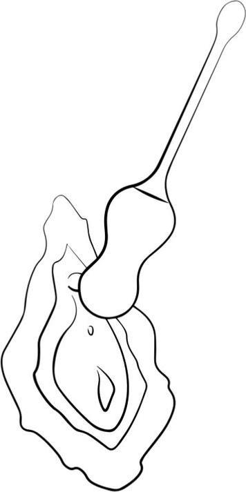 Productafbeelding Romp Cello