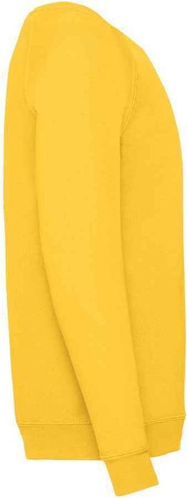 Immagine prodotto Fruit of the Loom Felpa Classico Raglan Bambini (116)