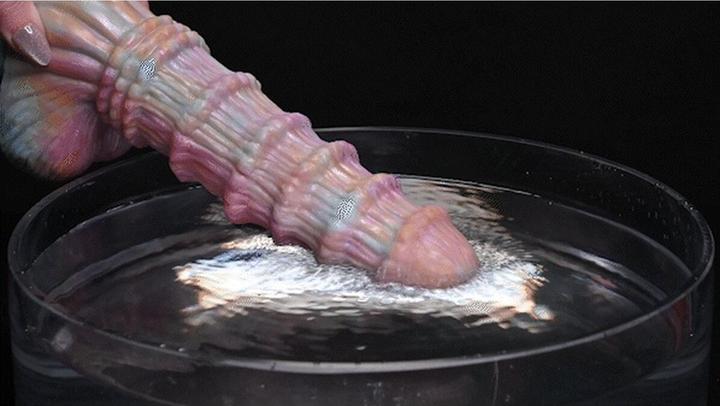 Actual product image Evolved Fantasy