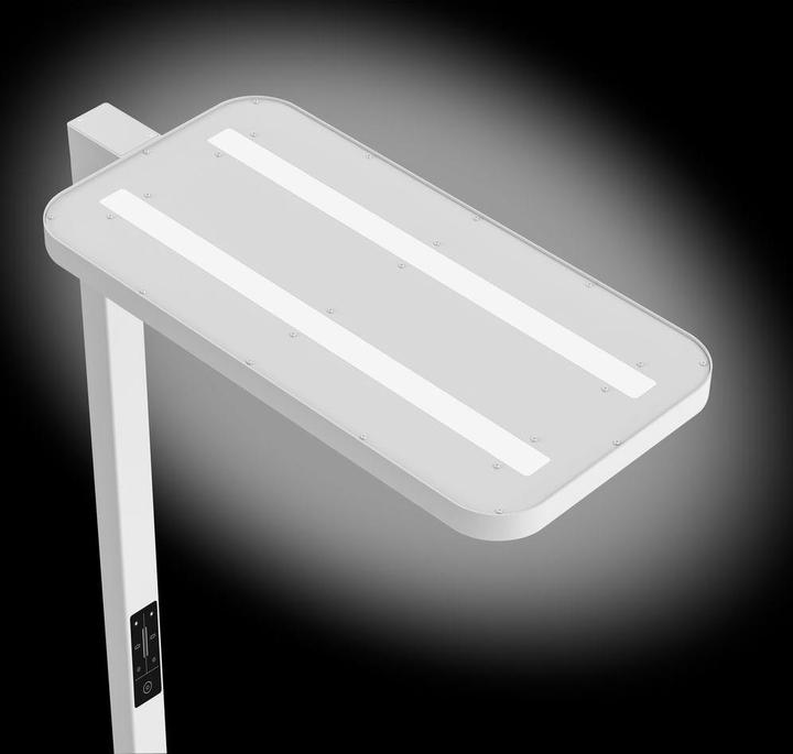 Image du produit Hansa Lampadaire LED Saphir Plus (11000 lm)