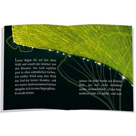 Thumbnail - Das Märchen vom Ginkgoblatt, Fachbücher von Ulrich Peters