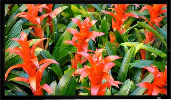 Elite Screens ezFrame (135", 16:10)