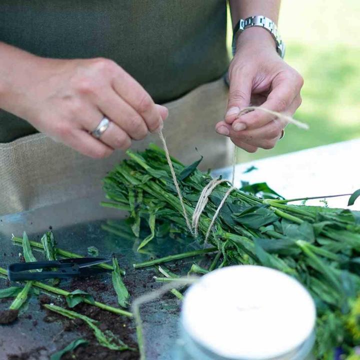 Produktbild Siena Garden Hanfschnur (10 cm, 0.20 cm)