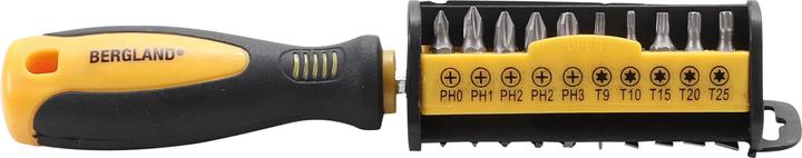 Actual product image BGS Schraubendreher-Bit-Satz (Allen screw, Cross recess, External square drive, Port, T-section)