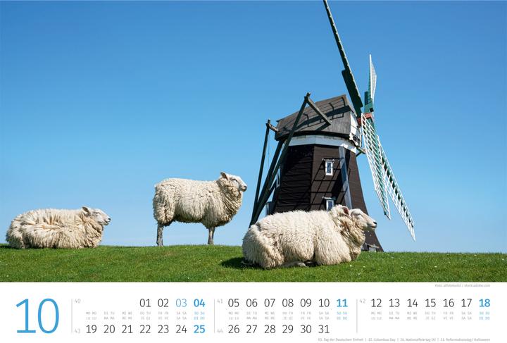 Produktbild Schafe Kalender 2026 (45 x 33 cm)