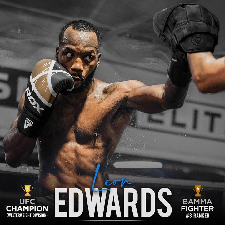 Actual product image Rdx Boxing Glove Bgr-F7 Red (10 OZ, One size)