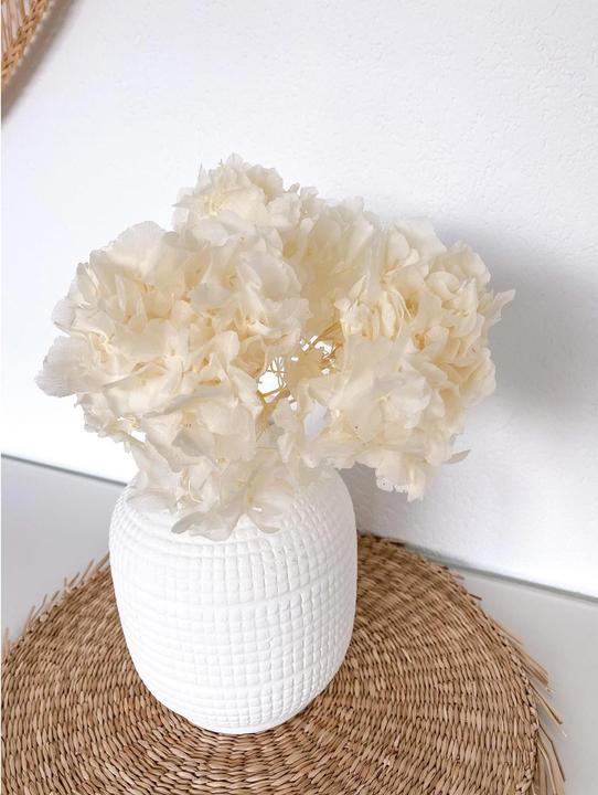 Actual product image Soli Collection Hortensien (Dried flowers)