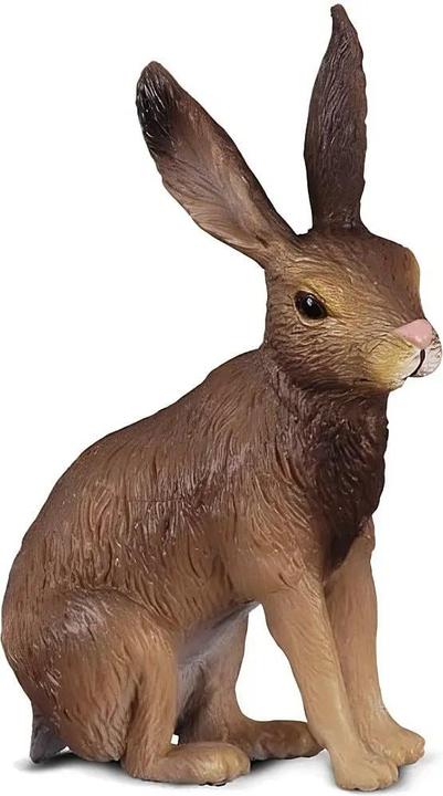 Immagine prodotto Collecta Lepre Selvatica Europea (S)
