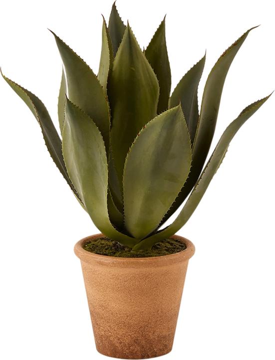 Edg Kunstpflanze Agave Grn H - kaufen bei Galaxus - Galaxus