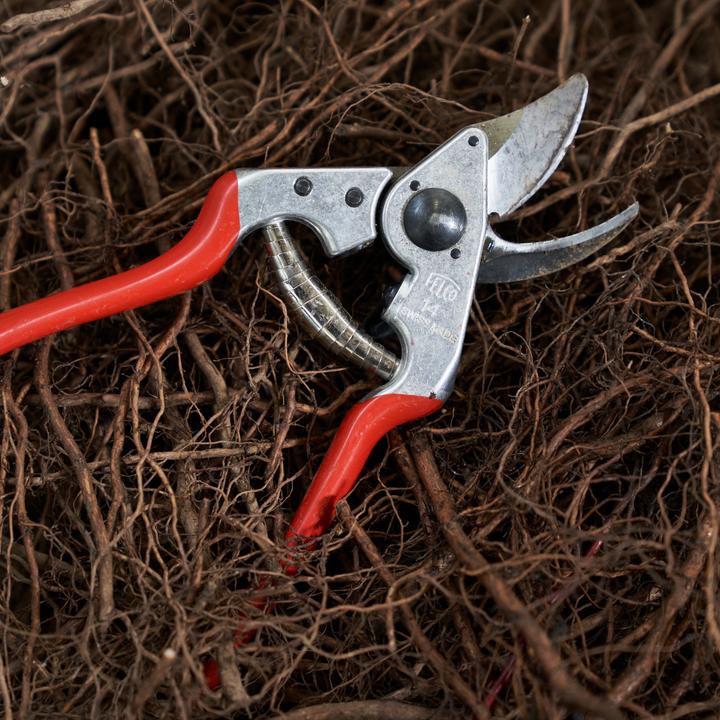 Produktbild Felco 14 Bypass Gartenschere für kleine Hände, für Rechtshänder