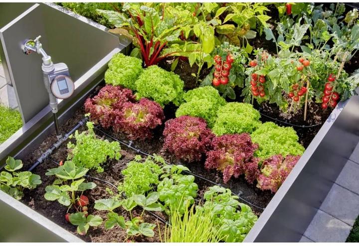 Image du produit Gardena Kit système Micro-Drip pour plate-bande/parterre surélevé (Kit d'irrigation goutte à goutte)