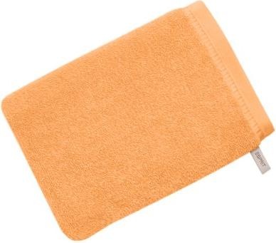Apricot