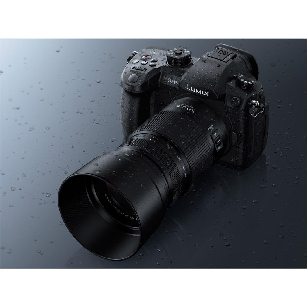 Panasonic Lumix G Vario 100-300mm F4.0-5.6 II - kaufen bei