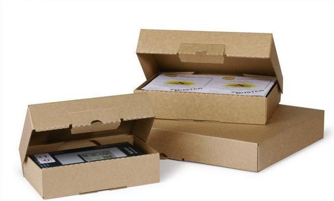 Produktbild Transpak Klappschachtel 1-wellig Masse 182x108x45mm A6 Qualität 1.3E Steckverschluss braun (25 x)