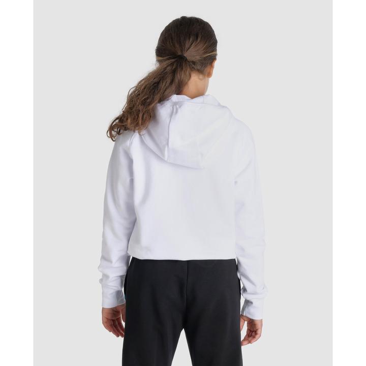 Immagine prodotto Arena Pannello felpato con cappuccio della squadra Jr (116)