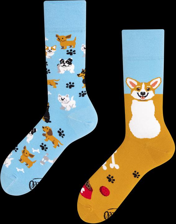 Actual product image Many Mornings Playful Dog (Single pack, 35 - 38)