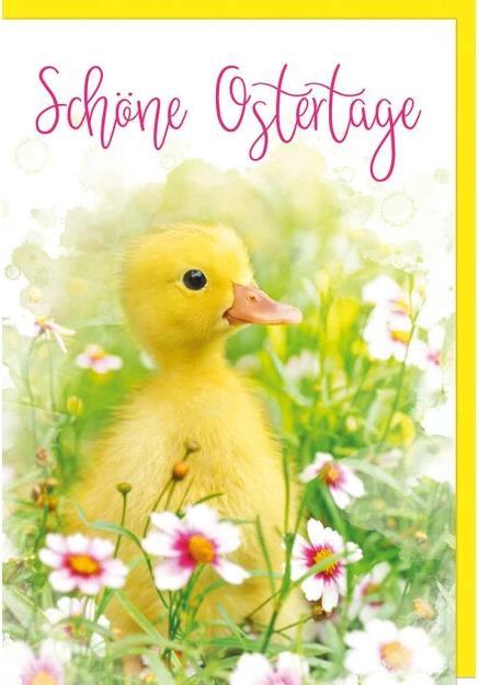 Image du produit Braun + Company Carte de voeux de Pâques Poussin 11.5 x 17 cm (1 x, 12,5 x 17,5 cm)