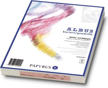 Immagine prodotto Papyrus Sihl Albus A2 140gm2 bianco (140 g/m², 100 x, A2)