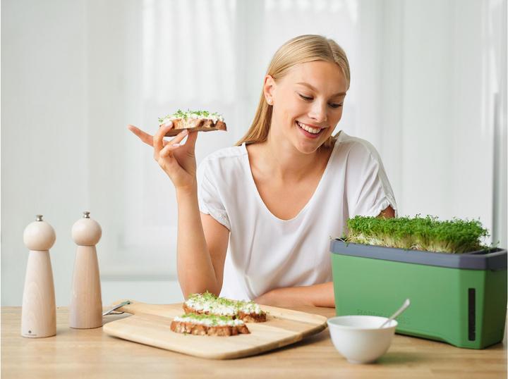 Actual product image Gusta Garden HARRY HERBS Herb Pot with Hood, Dark Green (35.80 x 15 x 25 cm)