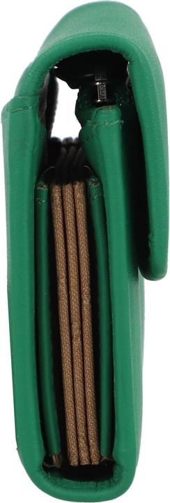 Immagine prodotto Braun Büffel JOY RFID fern green