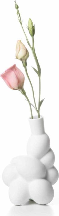Moooi Egg Vase