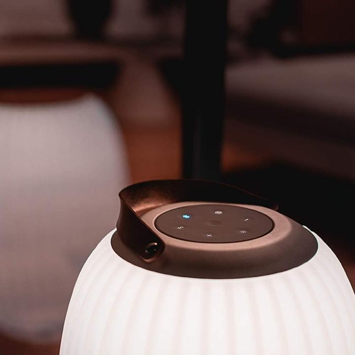 Produktbild Ezilight Ambiant Xl