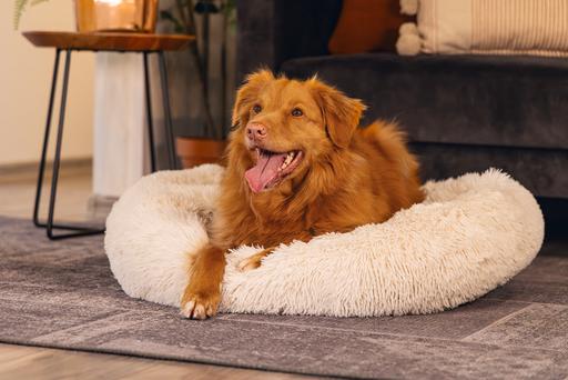 Image du produit Beeztees Hundebett Yala (Chien)