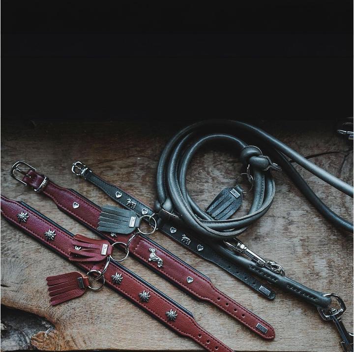 Image du produit Hunter Collier München Mini 30/XS, cuir de boeuf, vert/cognac (XS, Chien, Général)