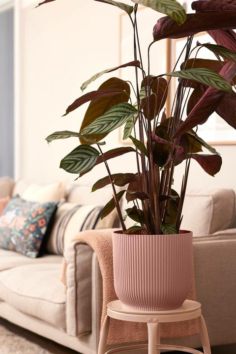 Image du produit Elho Vibes (29.50 cm)