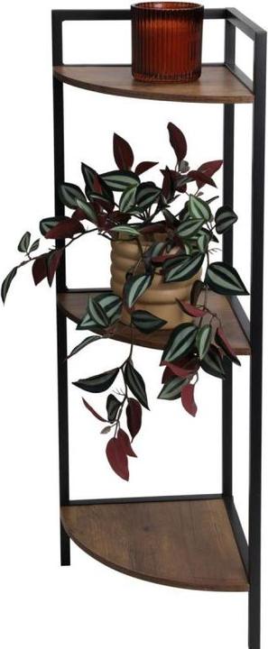 Actual product image Home&Styling Multi-purpose corner shelf (23.50 x 23.50 x 76 cm)