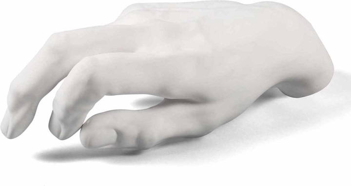 Actual product image Seletti Memorabilia Museum Male Hand Sculpture