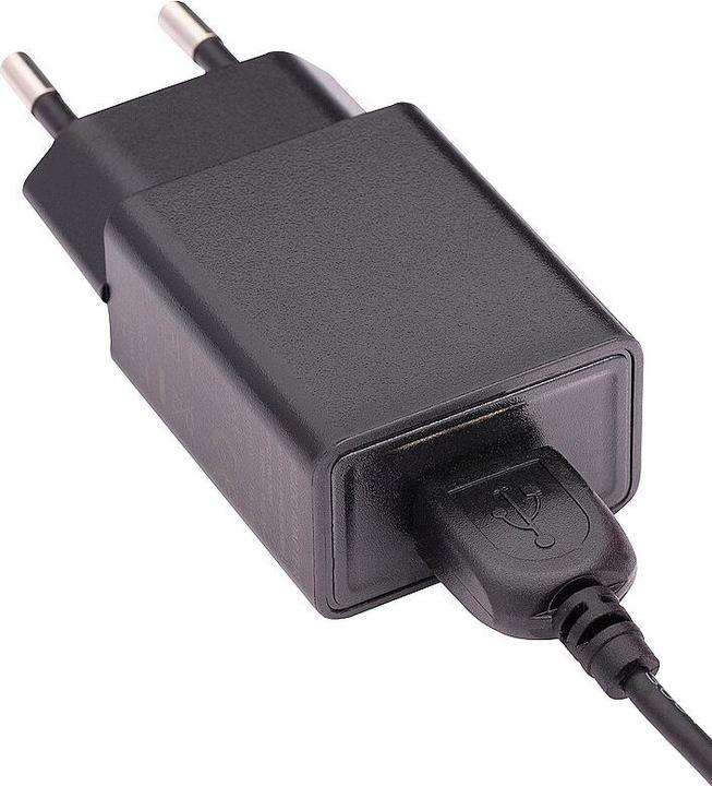 Actual product image emform Standing globe Soyuz LD Physical 2 (43 cm)