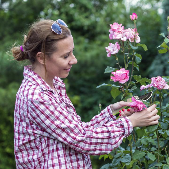 Image du produit Relaxdays Sécateur de jardin en acier