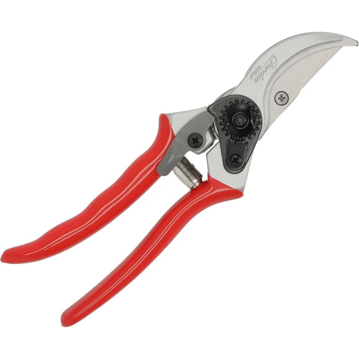 Dedra, Cesoia da giardinaggio, Sekator nożycowy, żyywe pędy grubość cięcia max 20mm (80A001)