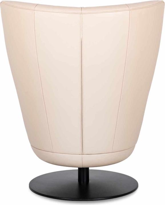 Produktbild De Sede Ds-0262/01 Sessel