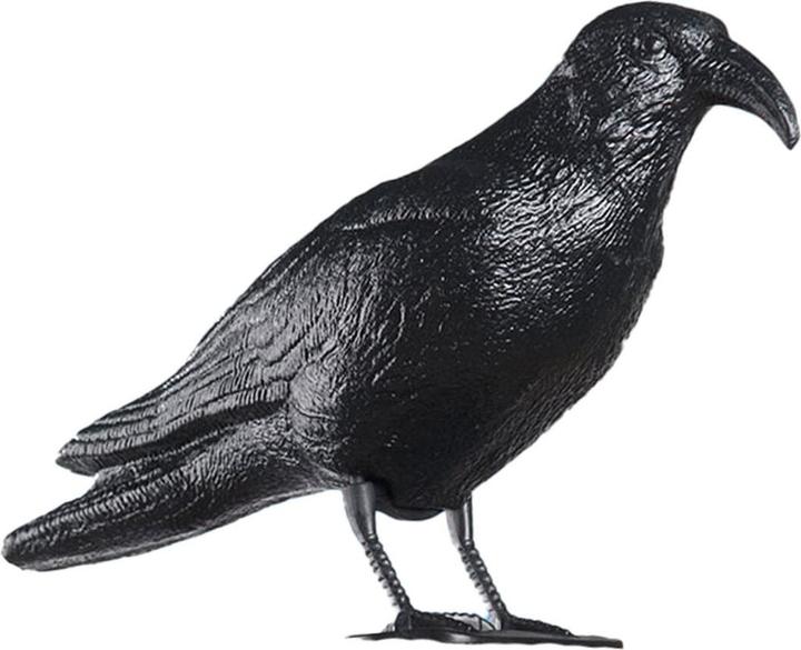 Image du produit Lifetime Pigeon scarer crow PL