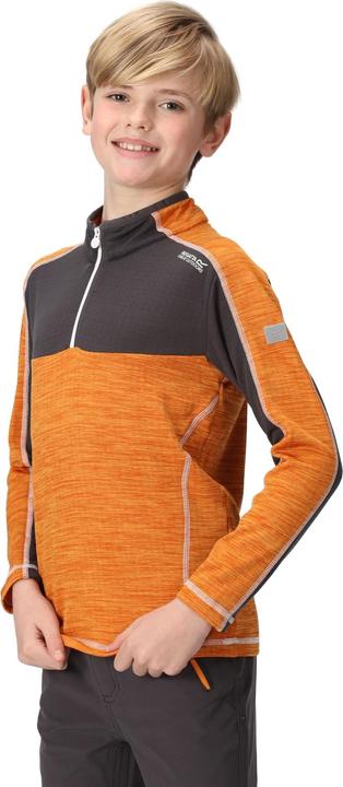 Actual product image Regatta Childrens/Kids Hewley Recycled Half Zip Fleece Top (146, 152)
