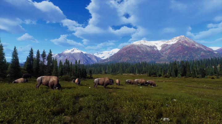 Produktbild THQ Way of the Hunter - Wild Expeditions (Xbox Series X, FR)