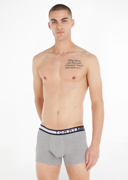 Image du produit Tommy Hilfiger Coffre à logo (L, Lot de 3)