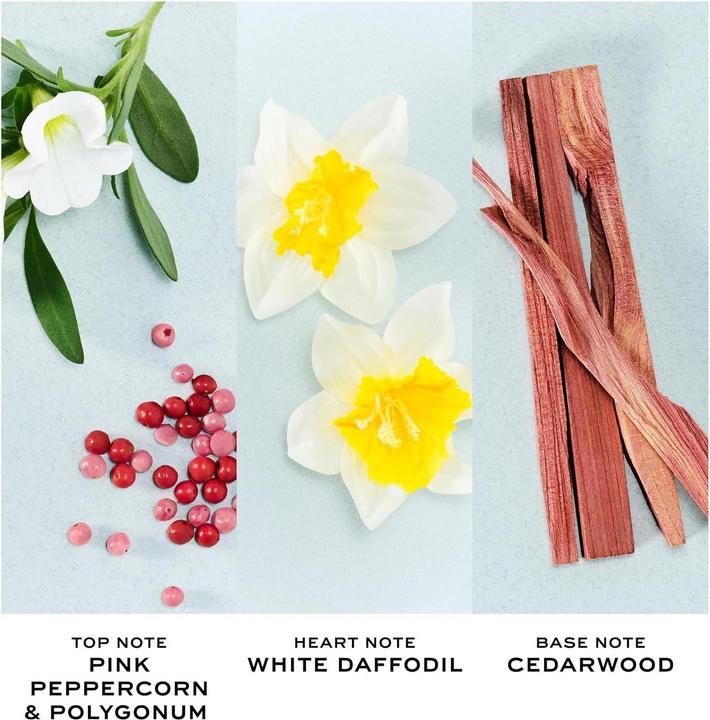 Produktbild Marc Jacobs Perfect EDT - 50ml (Eau de Toilette, 50 ml)