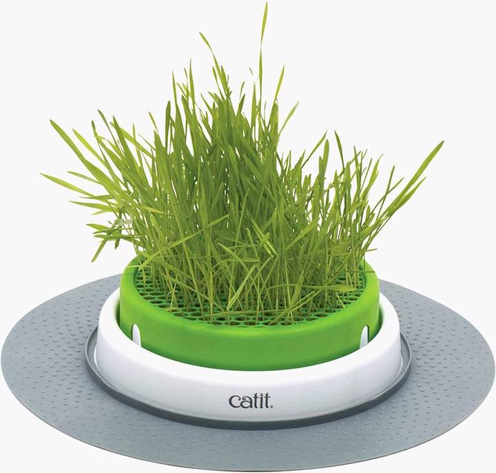 Immagine prodotto Catit Sensi 2.0 Fioriera per erba (Adulto, 1 pz., 73 g)