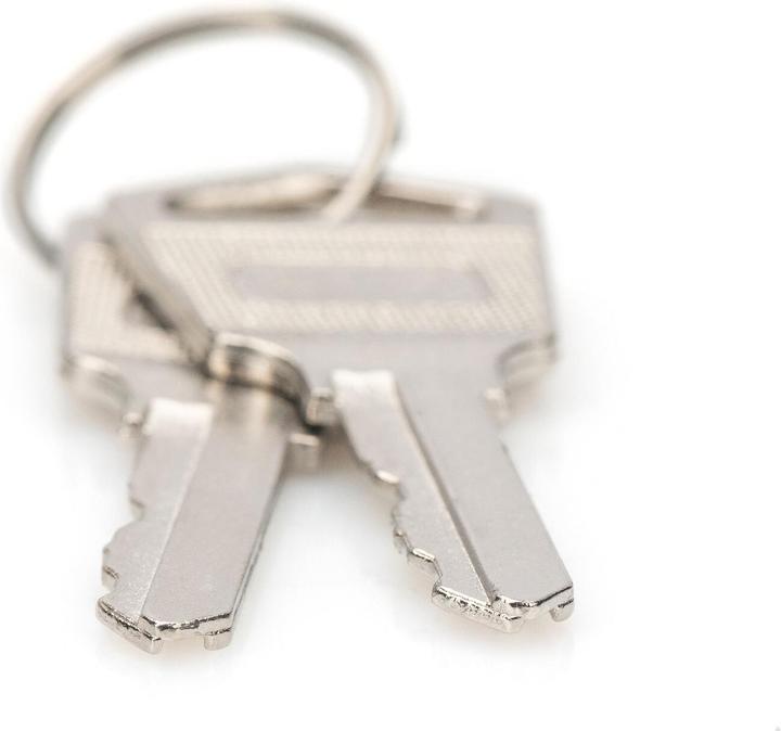 Actual product image Digitus Key for Charging Cabinets