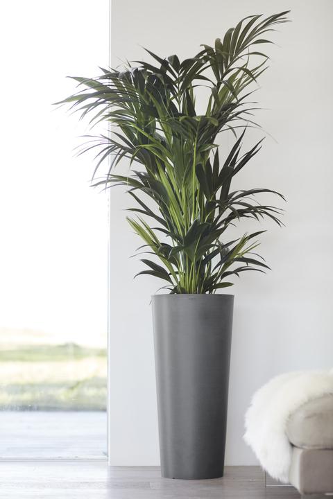 Actual product image Ecopots Amsterdam hoch (70 cm)
