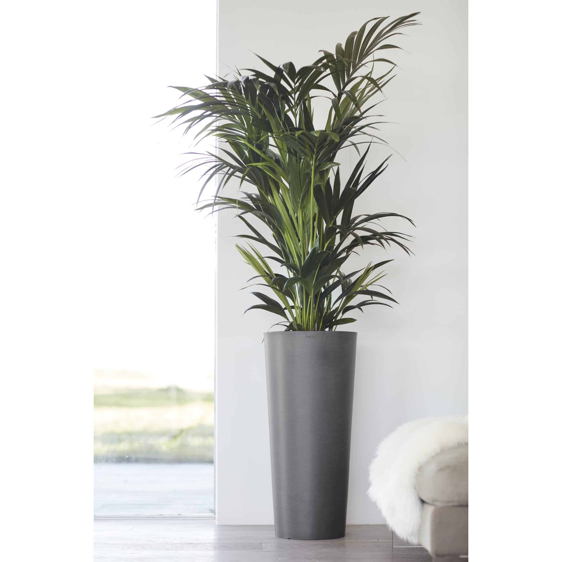 Thumbnail - Ecopots, Blumentopf, Amsterdam hoch (70 cm)