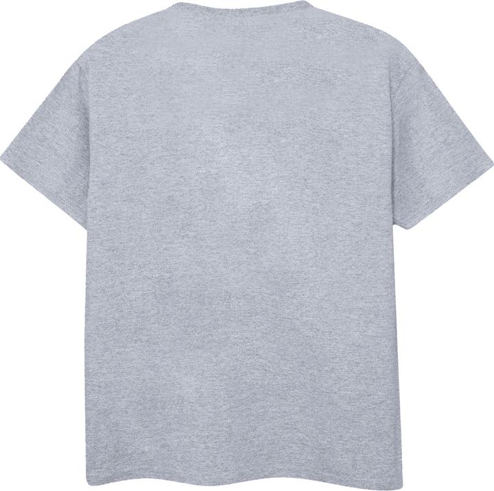 Actual product image Disney Womens/Ladies Big Hero 6 Baymax Excuse Me Some Air Cotton Boyfriend T-Shirt (XXL)