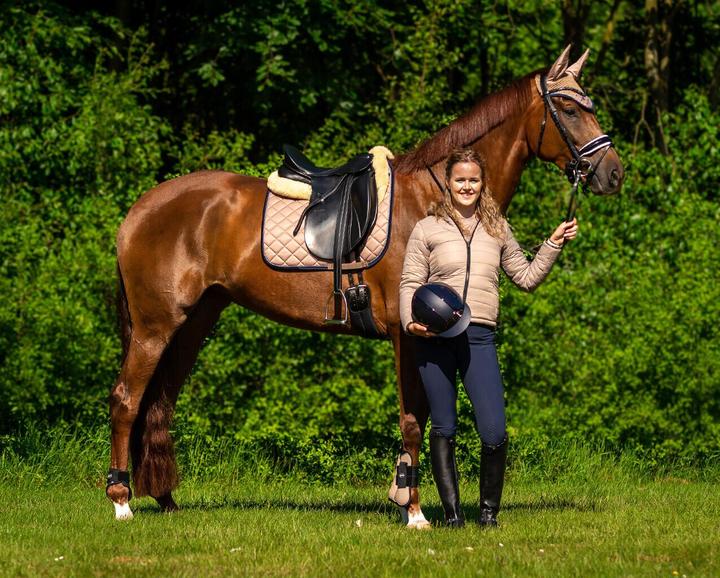 Actual product image Qhp mid grip riding trousers for summer (32)